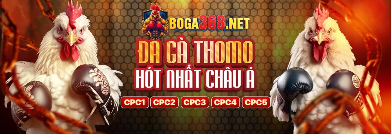 Chương trình khuyến mãi đặc sắc tại qh8